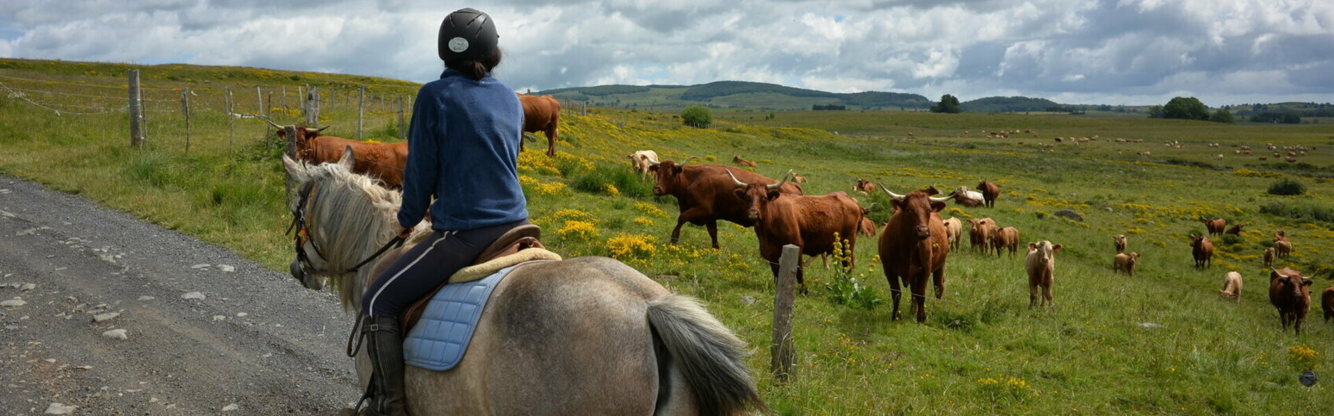 Balades Cheval Circuit Randonnées Poney Ânes Burons Cantal