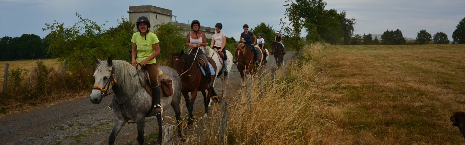 Balades Cheval Circuit Randonnées Poney Ânes Burons Cantal