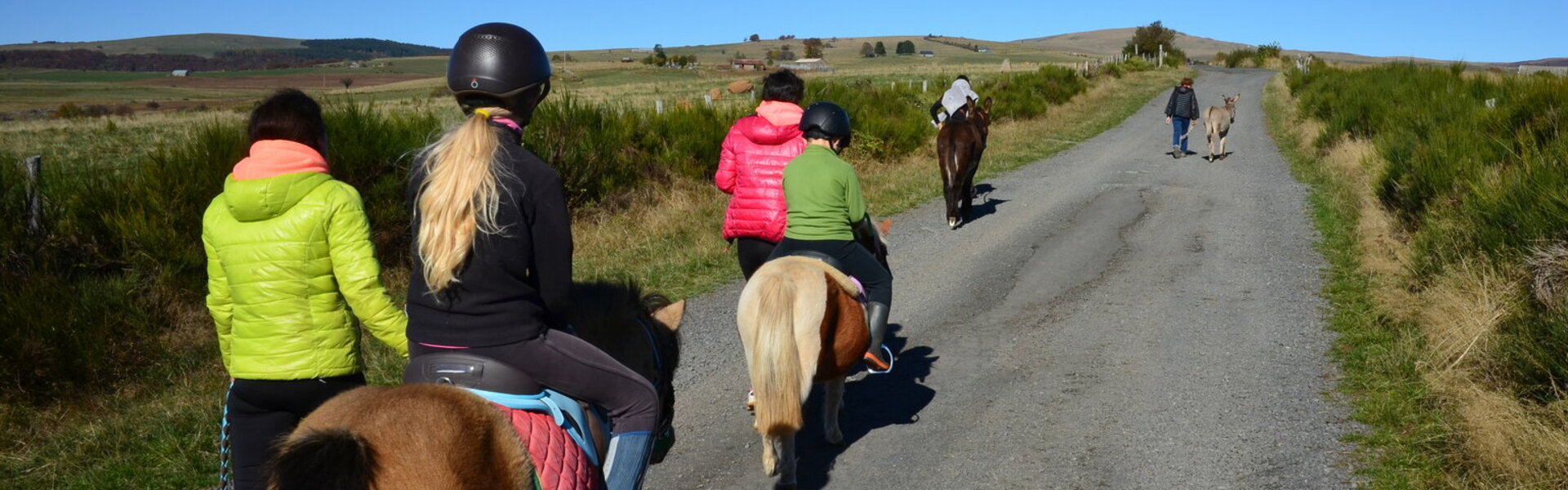 Ferme Équestre Burons Promenade Balade Cheval Poney Anes Cantal